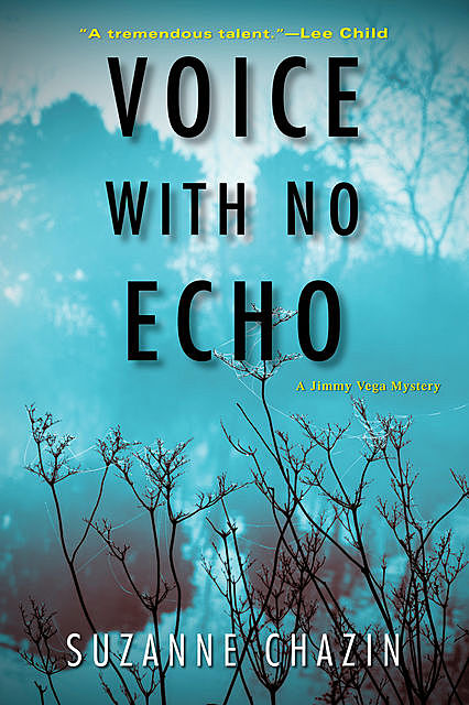 Voice with No Echo, Suzanne Chazin