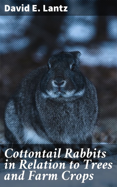 Cottontail Rabbits in Relation to Trees and Farm Crops, David Lantz