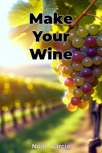 Make Your Wine, Noah Garcia