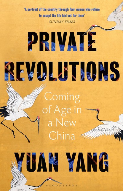 Private Revolutions, Yuan Yang