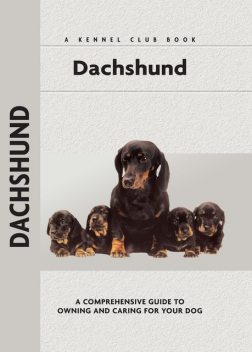 Dachshund, Ingrid Schwartz