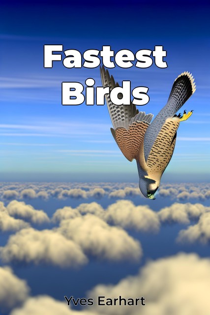 Fastest Birds, Yves Earhart