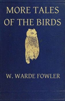 More Tales of the Birds, W.Warde Fowler