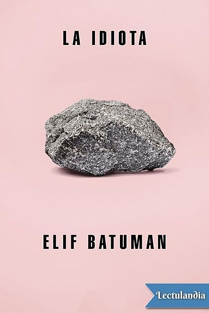 La idiota, Elif Batuman