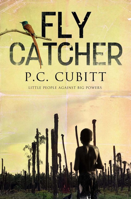 Fly Catcher, P C Cubitt