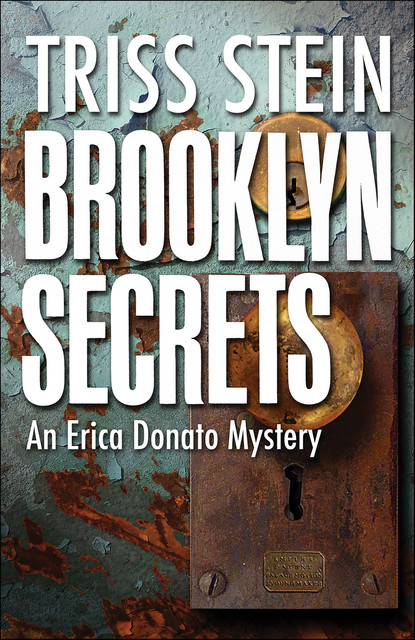 Brooklyn Secrets, Triss Stein