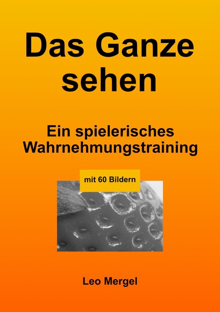 Das Ganze sehen, O.L. Mergel