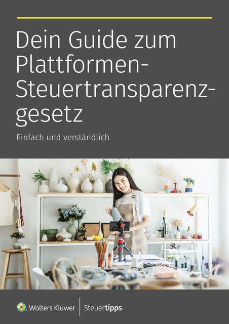 Plattformen-Steuertransparenzgesetz, Maike Backhaus