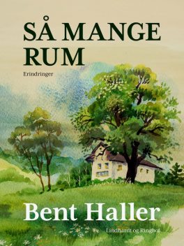 Så mange rum, Bent Haller