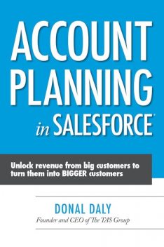 Account Planning in Salesforce, Donal Daly