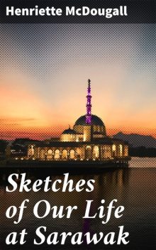 Sketches of Our Life at Sarawak, Henriette McDougall