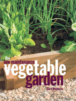 The Low Maintenance Vegetable Garden, Clare Matthews