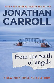 From the Teeth of Angels, Jonathan Carroll