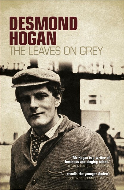 The Leaves on Grey, Desmond Hogan