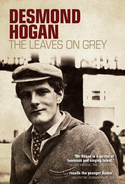 The Leaves on Grey, Desmond Hogan