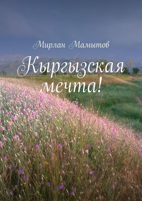 Кыргызская мечта, Мирлан Мамытов