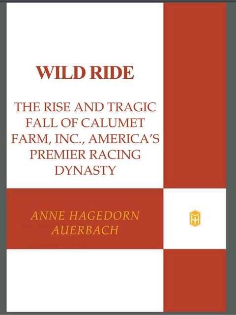 Wild Ride, Ann Hagedorn Auerbach