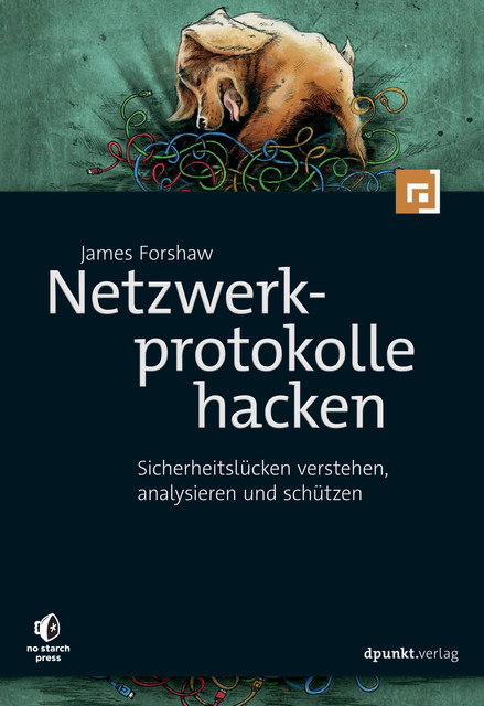Netzwerkprotokolle hacken, James Forshaw