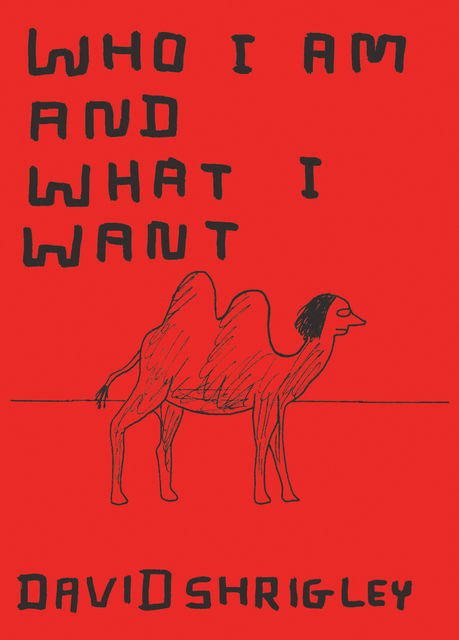 Who I Am and What I Want, David Shrigley
