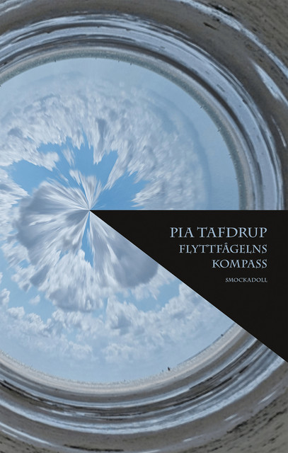 Flyttfågelns kompass, Pia Tafdrup