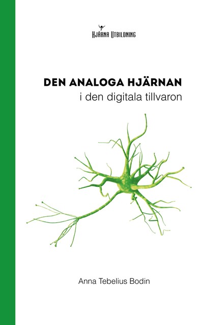 Den analoga hjärnan i den digitala tillvaron, Anna Bodin