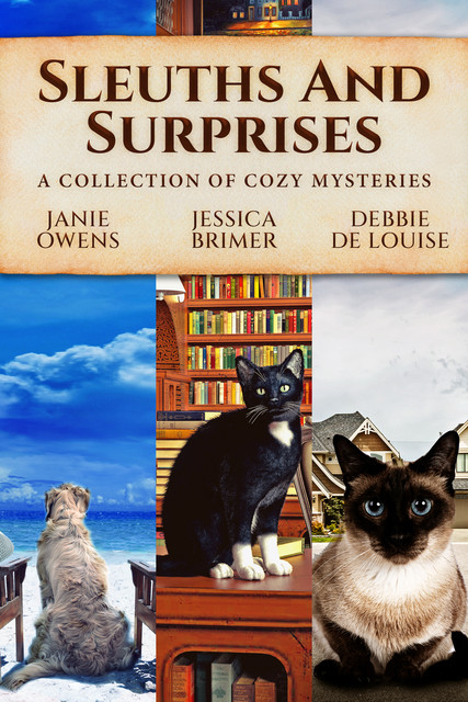 Sleuths and Surprises, Debbie De Louise, Janie Owens, Jessica Brimer