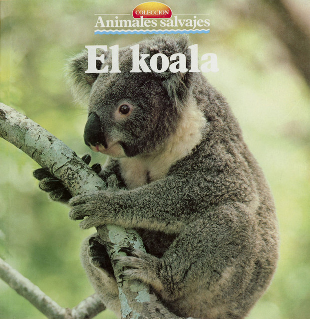 El koala, Autor