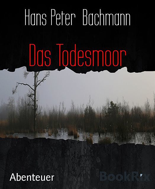 Das Todesmoor, Hans Peter Bachmann