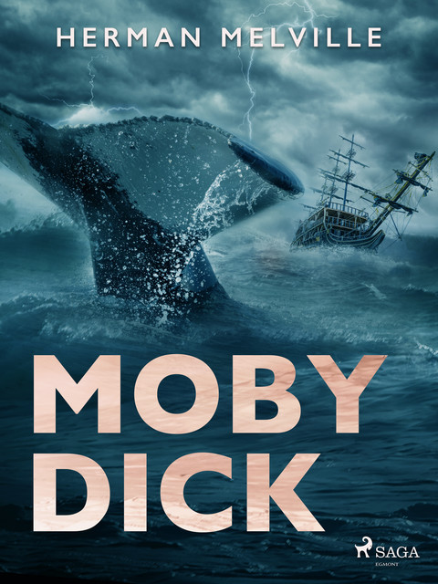 Moby Dick oder Der weiße Wal, Herman Melville