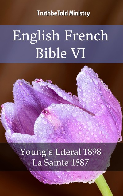 English French Bible VI, Joern Andre Halseth