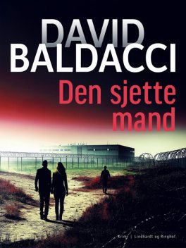Den sjette mand, David Baldacci