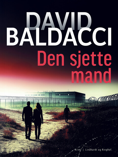 Den sjette mand, David Baldacci