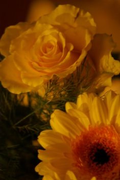 Mein Liebesbrief an Dich, null michelle_werner