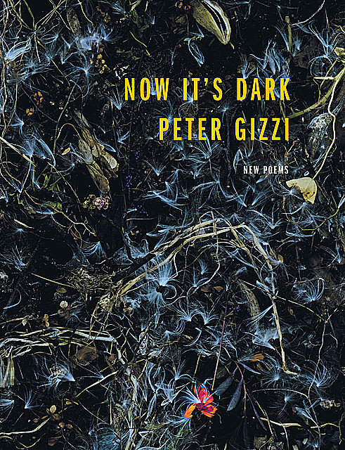 Now It's Dark, Peter Gizzi