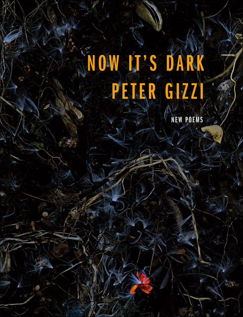 Now It's Dark, Peter Gizzi