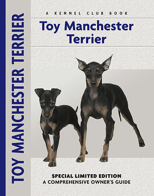 Toy Manchester Terrier, Peter Brown