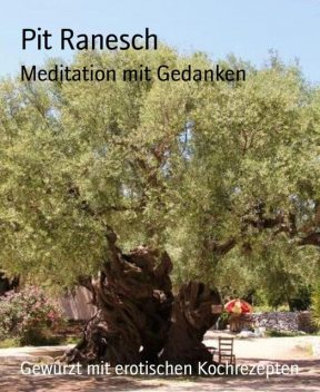 Meditation mit Gedanken, Pit Ranesch