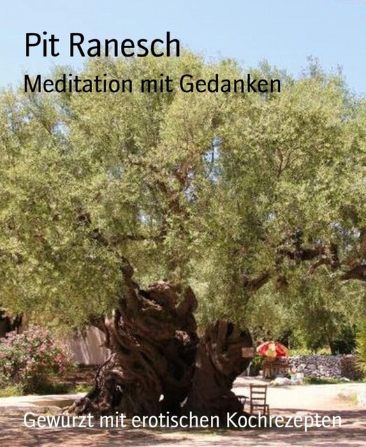 Meditation mit Gedanken, Pit Ranesch