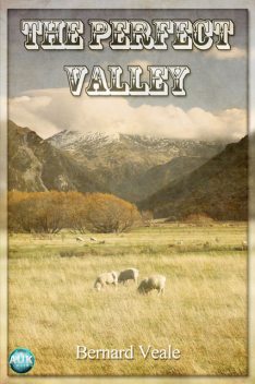 Perfect Valley, Bernard Veale