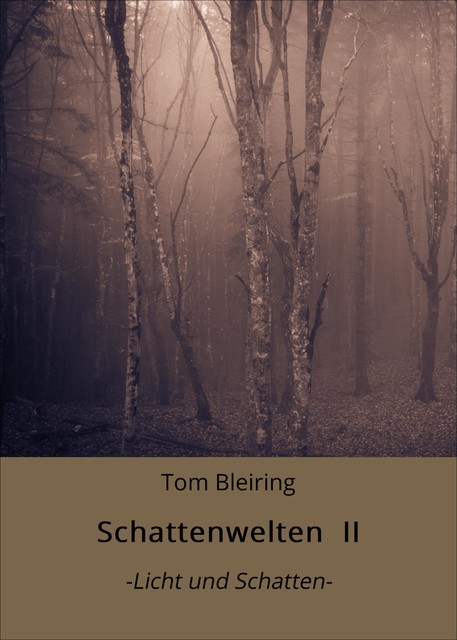 Schattenwelten II, Tom Bleiring