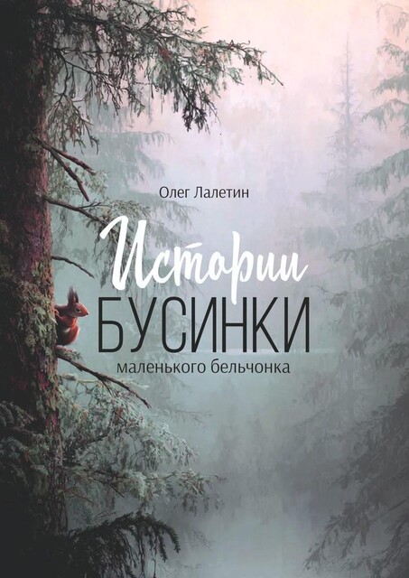 Истории Бусинки. Маленького бельчонка, Олег Лалетин