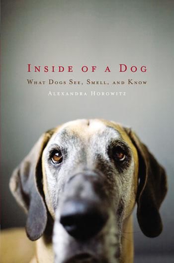 Inside of a Dog: What Dogs See, Smell, and Know, Alexandra Horowitz