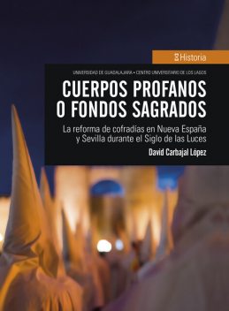 Cuerpos profanos o fondos sagrados, David Carbajal López