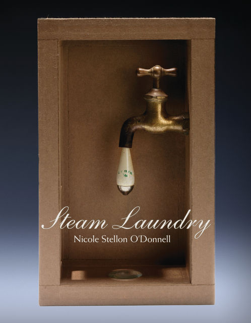 Steam Laundry, Nicole Stellon O'Donnell