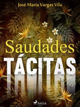 Saudades tácitas, José María Vargas Vilas