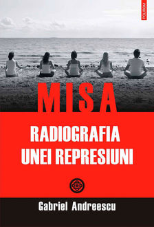MISA. Radiografia unei represiuni, Andreescu Gabriel