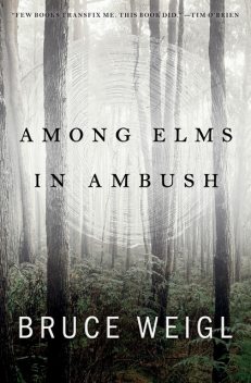 Among Elms, in Ambush, Bruce Weigl