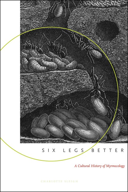 Six Legs Better, Charlotte Sleigh