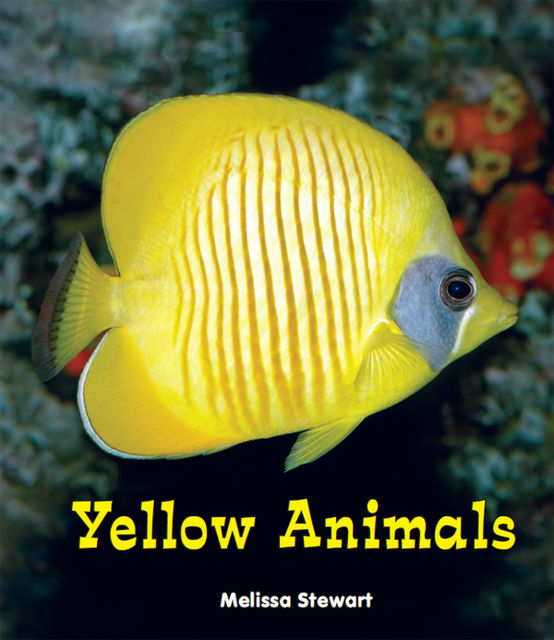Yellow Animals, Melissa Stewart