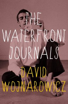 The Waterfront Journals, David Wojnarowicz